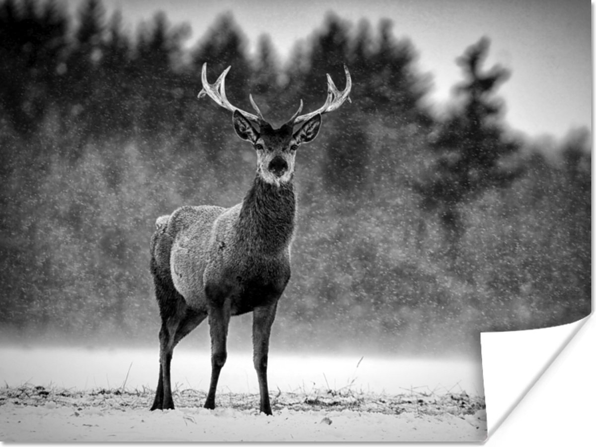 Poster Dieren - Hert - Winter - Zwart - Wit - 120x90 cm