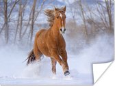Bruin paard galoppeert door de sneeuw poster 160x120 cm - Foto print op Poster (wanddecoratie woonkamer / slaapkamer) / Boerderijdieren Poster XXL / Groot formaat!