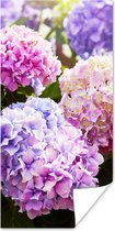 Poster - Fotolijst - Hortensia - Bloemen - Planten - Bladeren - Natuur - Kader - 80x160 cm - Poster bloemen - Poster frame - Foto lijst - Wanddecoratie