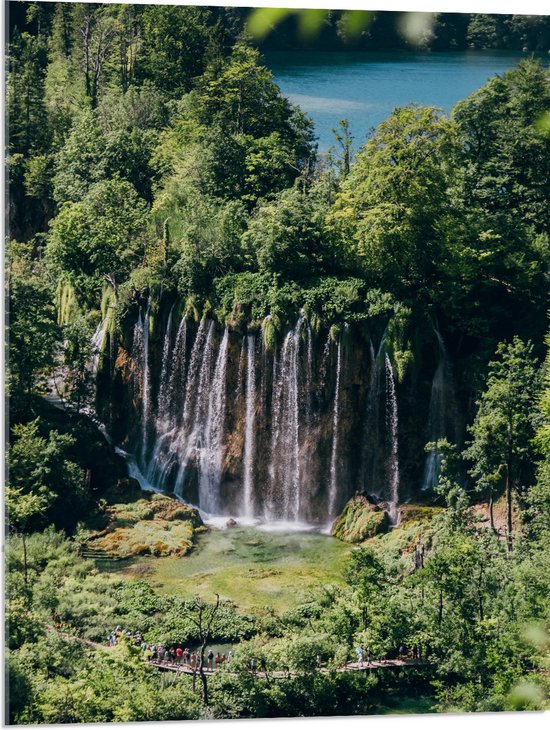 WallClassics - Acrylglas - Watervallen vanuit Bomen naar Beneden - 60x80 cm Foto op Acrylglas (Met Ophangsysteem)