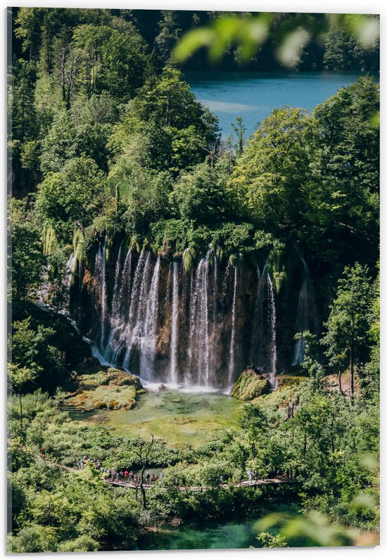 WallClassics - Acrylglas - Watervallen vanuit Bomen naar Beneden - 40x60 cm Foto op Acrylglas (Met Ophangsysteem)