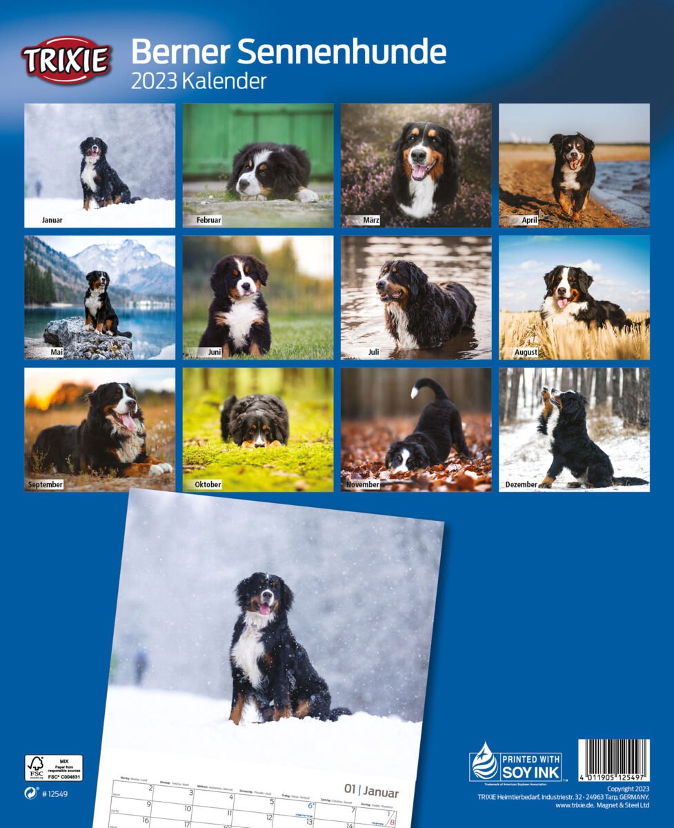 Trixie Kalender Berner sennenhonden  bol.com