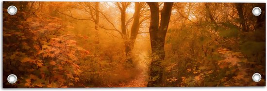 WallClassics - Tuinposter – Zon door Hefst Bos - 60x20 cm Foto op Tuinposter  (wanddecoratie voor buiten en binnen)