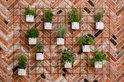 Bewateringssysteem met kruidenplanten tegen een bakstenen muur.