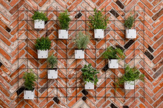 Bewateringssysteem met kruidenplanten tegen een bakstenen muur.