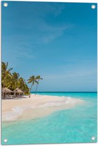 WallClassics - Tuinposter – Tropisch Strand met Palmbomen - 50x75 cm Foto op Tuinposter  (wanddecoratie voor buiten en binnen)