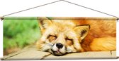 WallClassics - Affiche Textile - Renard Endormi - 120x40 cm Photo sur Textile