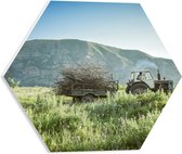 WallClassics - Panneau en mousse PVC Hexagone - Tracteur avec charrette dans le pré - Photo 40 x 34,8 cm sur panneau hexagonal (avec système de suspension)