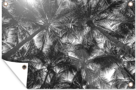 Een bos met palmbomen - zwart wit - Tuindoek
