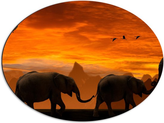WallClassics - Dibond Ovaal - Olifanten Stoet bij Zonsondergang - 68x51 cm Foto op Ovaal (Met Ophangsysteem)
