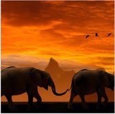 WallClassics - Poster (Mat) - Olifanten Stoet bij Zonsondergang - 50x50 cm Foto op Posterpapier met een Matte look
