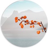 WallClassics - PVC Schuimplaat Muurcirkel - Oranje Bladeren aan Tak voor Bergen - 70x70 cm Foto op Muurcirkel (met ophangsysteem)