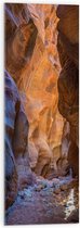 WallClassics - Acrylglas - Willis Creek - 30x90 cm Foto op Acrylglas (Met Ophangsysteem)