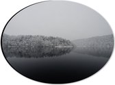 WallClassics - Dibond Ovaal - Winter Meer - 28x21 cm Foto op Ovaal (Met Ophangsysteem)