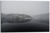 WallClassics - Dibond - Winter Meer - 60x40 cm Foto op Aluminium (Wanddecoratie van metaal)