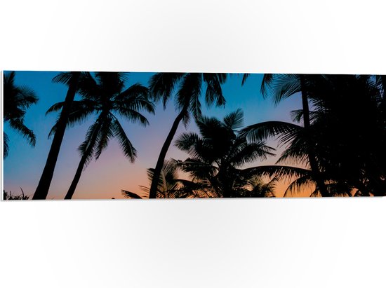 WallClassics - Plaque de Mousse PVC - Silhouette de Palmiers sur une Plage Tropicale - Photo 90x30 cm sur Plaque de Mousse PVC
