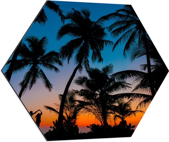 WallClassics - Dibond Hexagon - Silhouette van Palmbomen op een Tropisch Strand - 70x60.9 cm Foto op Hexagon (Met Ophangsysteem)