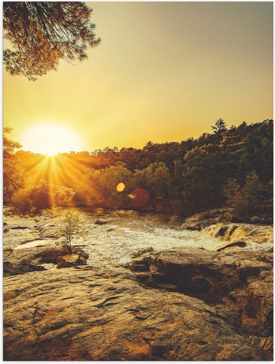 WallClassics - Poster (Matte) - Rayons de Soleil Lumineux sur un Champ Vert - 60x80 cm Photo sur Papier Poster avec un Aspect Mat