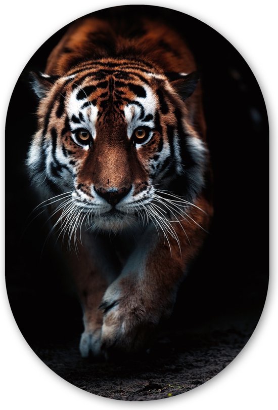 Moderne Impression Sur Toile 120x40cm Image Tableau Decoration Murale Animaux Dangereux Chat Sauvage Tableaux Decoratifs Muraux Chambre Triptyque 3