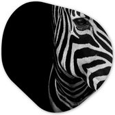Décoration murale Organique - Décoration murale Plastique - Peinture Organique - Animaux - Zebra - Zwart - Wit- 90x90 cm - Forme Miroir Organique sur Plastique