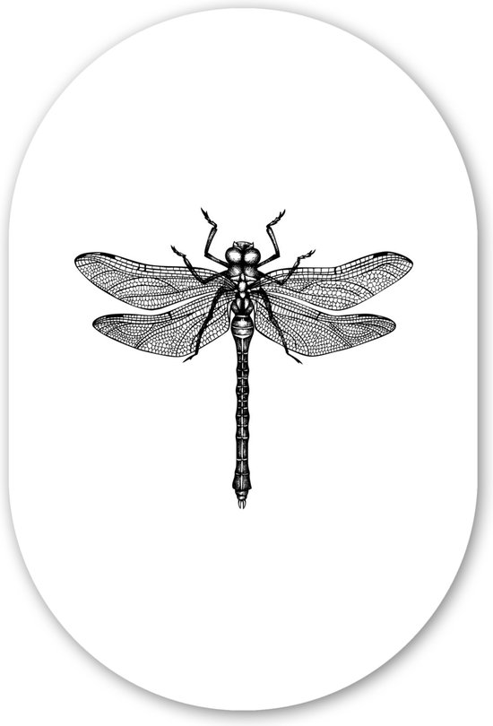 Muurovaal - Kunststof Wanddecoratie - Ovalen Schilderij - Libelle - Insecten - Retro - Zwart wit - 60x90 cm - Ovale spiegel vorm op kunststof
