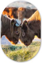 Miroir ovale - Décoration murale en plastique - Tableau ovale - Highlanders écossais - Animaux - Soleil - 40x60 cm - Forme miroir ovale sur plastique