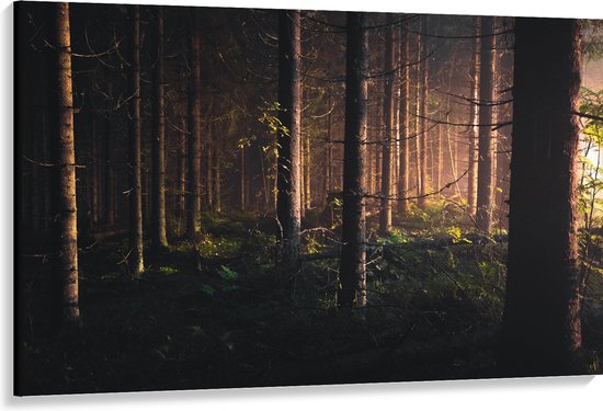 WallClassics - Canvas  - Bos in de Schemer van Zonsondergang - 150x100 cm Foto op Canvas Schilderij (Wanddecoratie op Canvas)