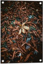 WallClassics - Tuinposter – Bruine Herfstbladeren - 40x60 cm Foto op Tuinposter  (wanddecoratie voor buiten en binnen)