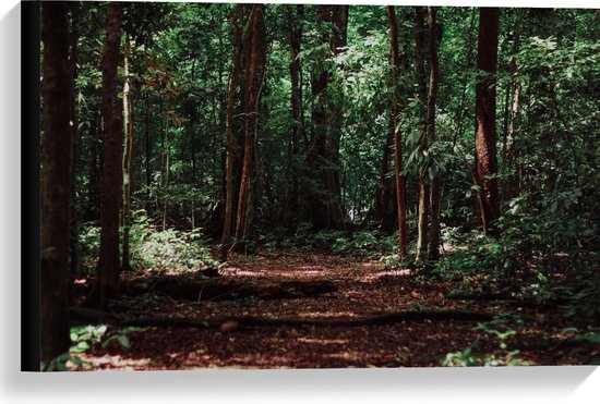 WallClassics - Toile - Troncs d'arbres sombres dans la forêt - 60x40 cm Photo sur toile (Décoration murale sur toile)