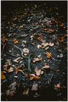 WallClassics - Poster Brillant – Feuilles et Branches d'Automne - 80x120 cm Photo sur Papier Poster avec Finition Brillante