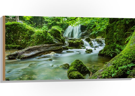 WallClassics - Hout - Groen Natuur Gebied met Waterval - 100x50 cm - 12 mm dik - Foto op Hout (Met Ophangsysteem)