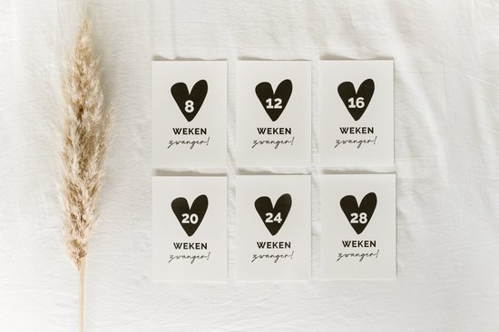 20x hippe mijlpaalkaartjes zwangerschap (A6 formaat) - milestone pregant cards - cadeau zwangerschap - kado zwangerschap - babyshower cadeau - hoera zwanger - zwangerschapsverlof - kraamcadeaus - mijlpaalkaarten zwangerschap