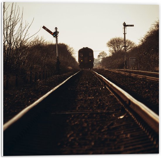 WallClassics - PVC Schuimplaat- Aankomende Trein op Rails - 50x50 cm Foto op PVC Schuimplaat