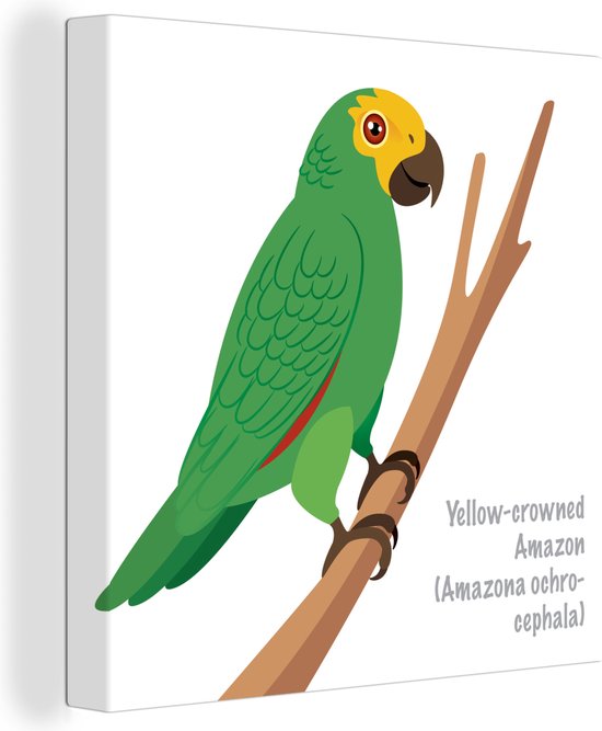Canvas Schilderij Een illustratie van een groene papegaai - 20x20 cm - Wanddecoratie