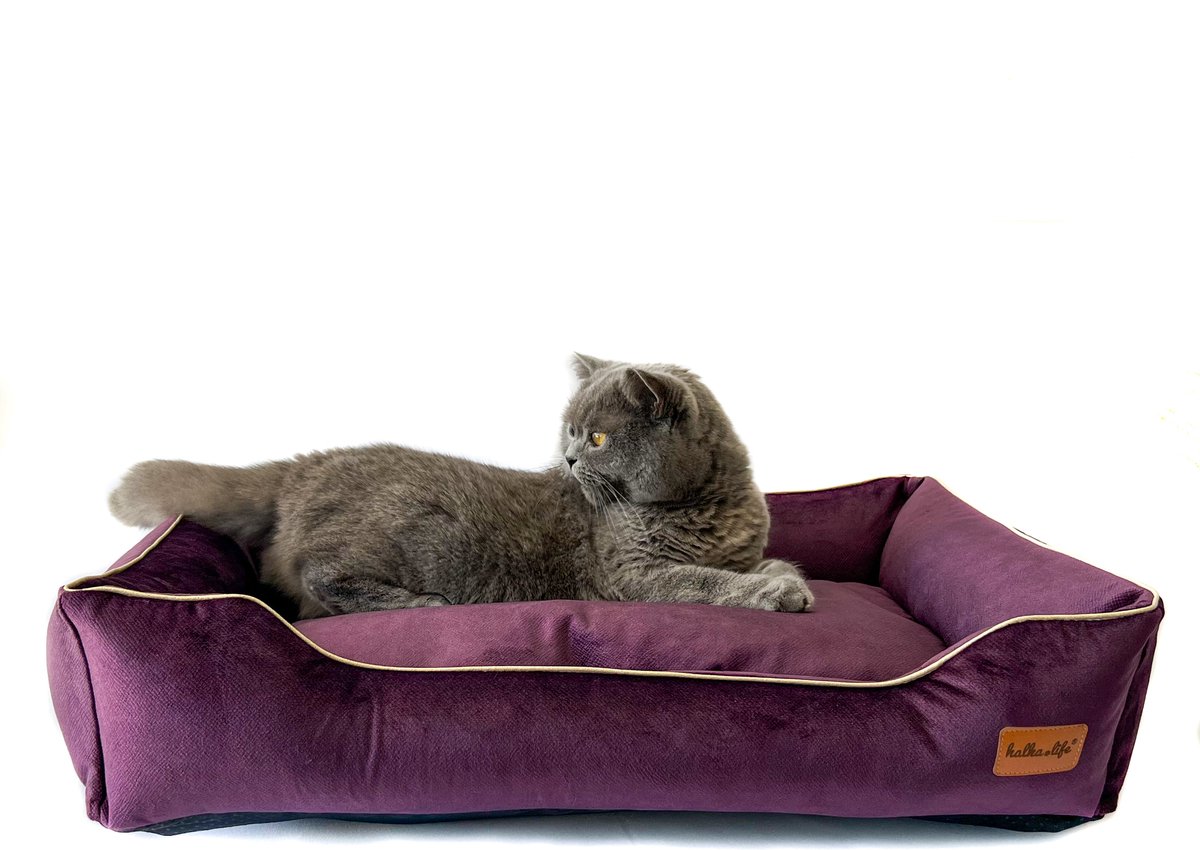 Sofa BOOVEL - Plum, S