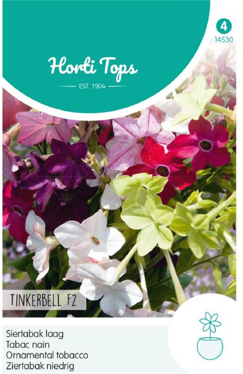 Hortitops Zaden - Nicotiana Nana Tinkerbell Gemengd