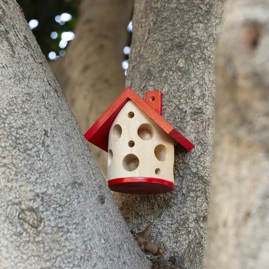Kikkerland Ladybug Maison coccinelle