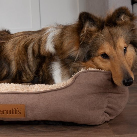Shetland Sheepdog hond ligt in een bruine hondenmand met crème fleece voering. Scruffs logo.