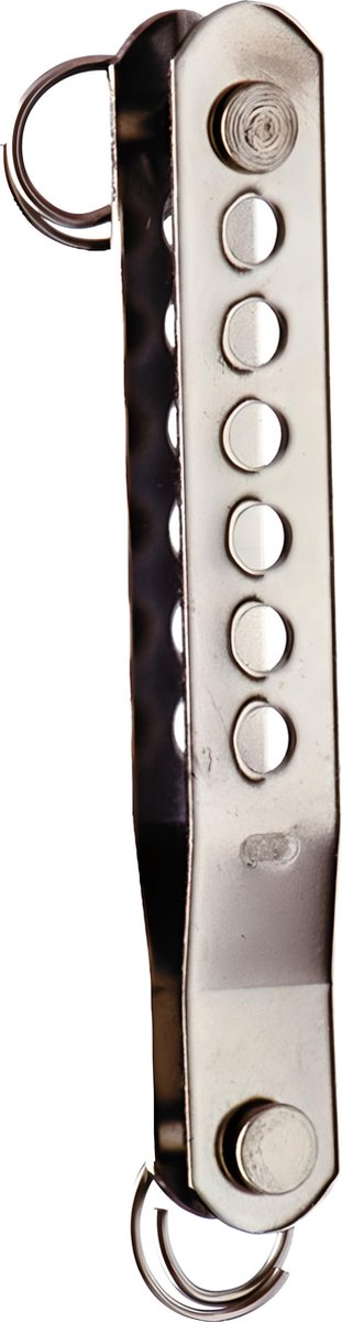 Seilflechter - Plaatspanner - RVS - 100x15mm - Maat: Default