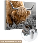 MuchoWow® Peinture sur Verre - Highlander écossais - Animaux - Marron - Vache - Zwart - Wit - Nature - 80x60 cm - Peintures sur Verre Acrylique - Photo sur Glas