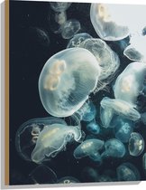 WallClassics - Hout - Zee van Kwallen in de Zee - 60x80 cm - 9 mm dik - Foto op Hout (Met Ophangsysteem)