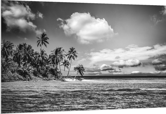 PVC Schuimplaat- Rij Palmbomen langs Rustige Zee (Zwart- wit) - 150x100 cm Foto op PVC Schuimplaat