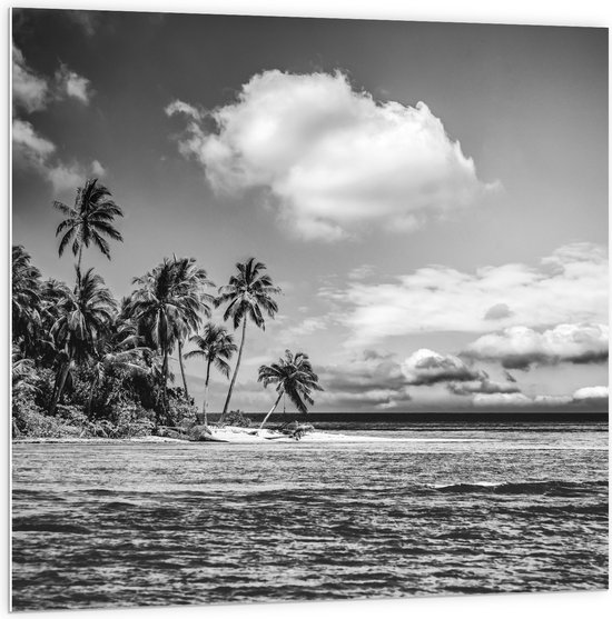 PVC Schuimplaat- Rij Palmbomen langs Rustige Zee (Zwart- wit) - 100x100 cm Foto op PVC Schuimplaat
