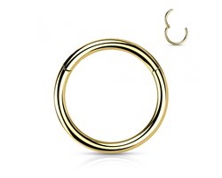 Titanium piercing ring high quality 0.8x6 mm - goud - LMPiercings
