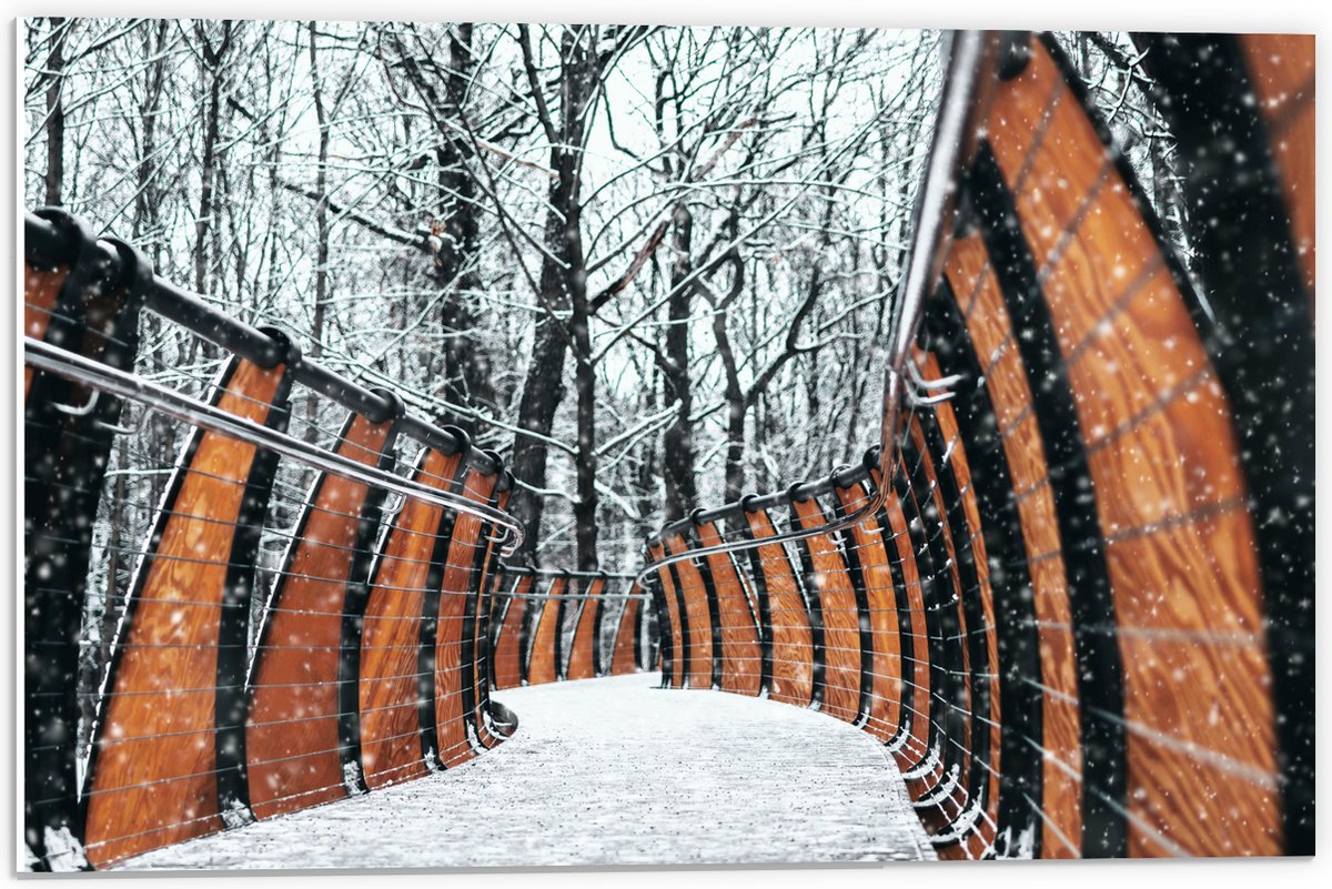 PVC Schuimplaat- Hekwerk in Ondergesneeuwd Bos - 60x40 cm Foto op PVC Schuimplaat