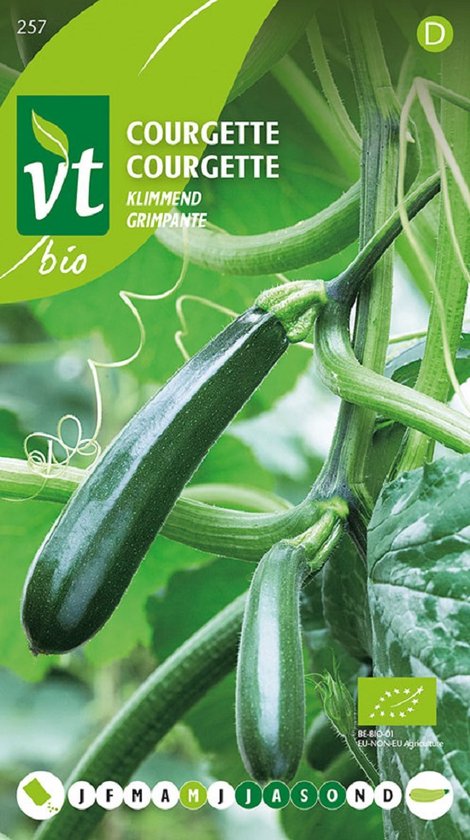 Courgette Klimmend Bio - Eenvoudig te Telen met Verticale Groei
