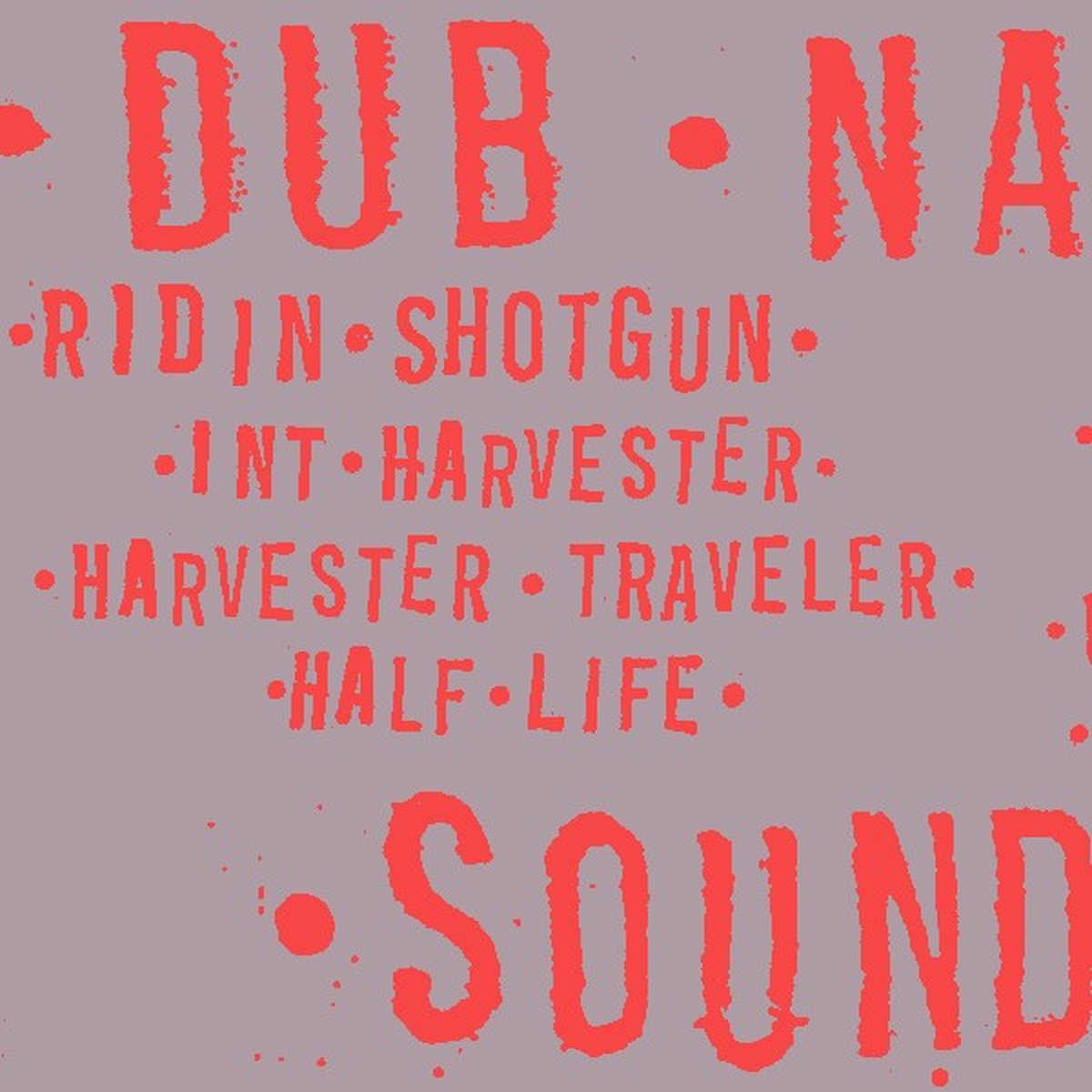 Dub Narcotic Sound System - Ridin' Shotgun (CD)