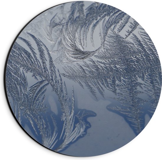 Dibond Muurcirkel - Bevroren Vogel Veren - 20x20 cm Foto op Aluminium Muurcirkel (met ophangsysteem)
