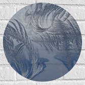 Muursticker Cirkel - Bevroren Vogel Veren - 40x40 cm Foto op Muursticker