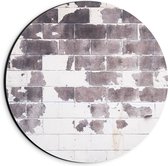 Dibond Muurcirkel - Bruine Vlekken op Witte Stenen Muur - 20x20 cm Foto op Aluminium Muurcirkel (met ophangsysteem)